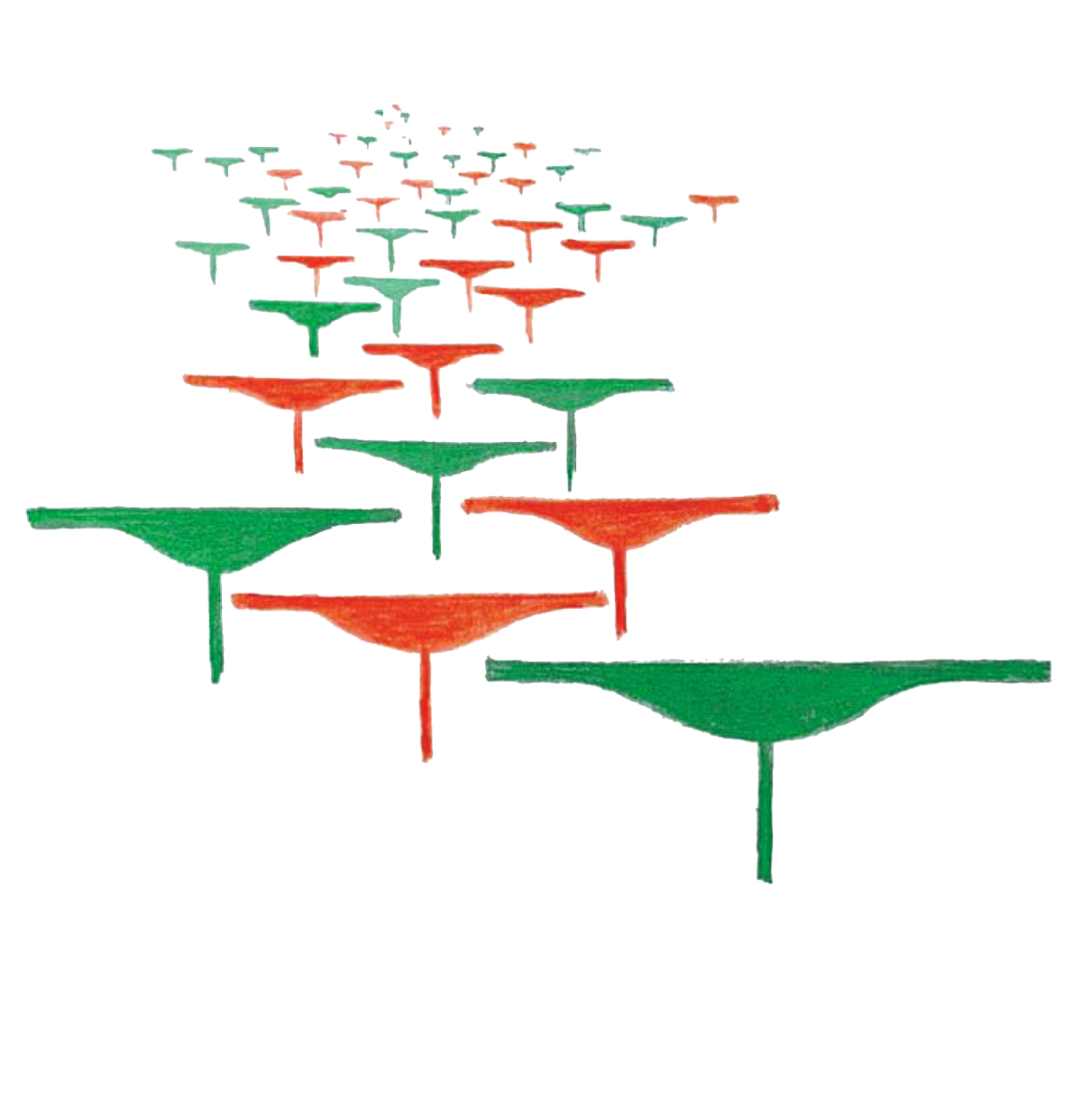 11-toro