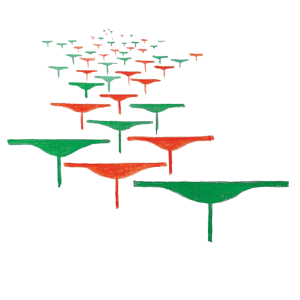 11-toro
